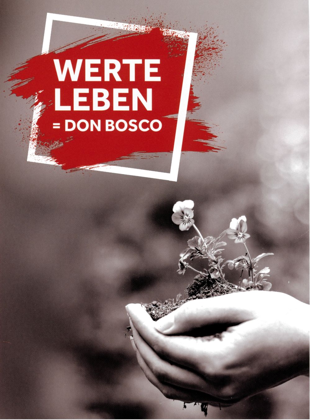 iWerte leben Don Bosco